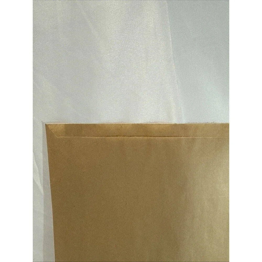 100 Natural MD Paper Bags 10